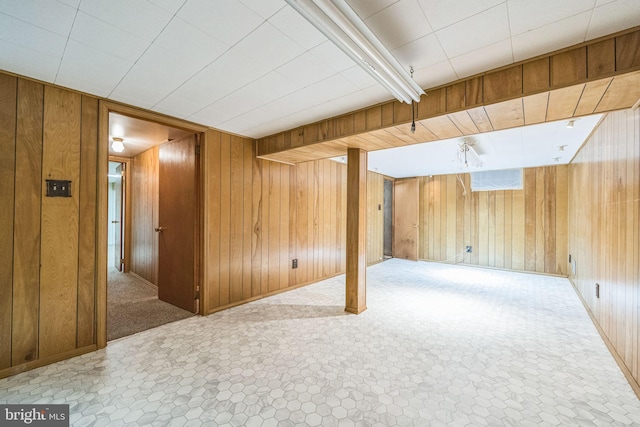 basement with wooden walls