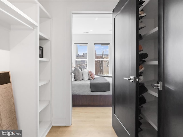 spacious closet with light wood-type flooring