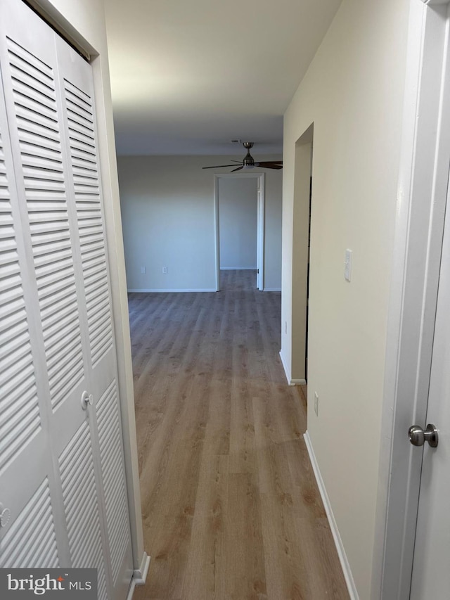 hall featuring wood-type flooring