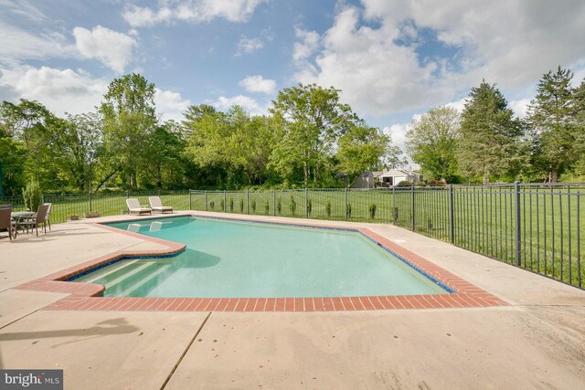 view of pool featuring a patio area and a yard