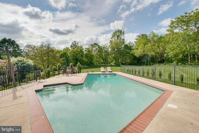 view of swimming pool with a patio