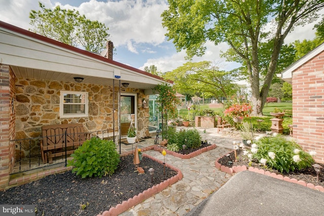 view of yard with a patio