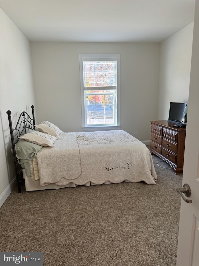 bedroom with carpet flooring