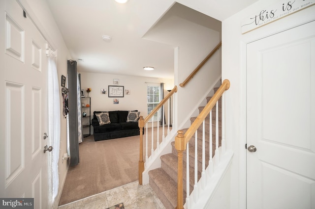 stairs with carpet floors