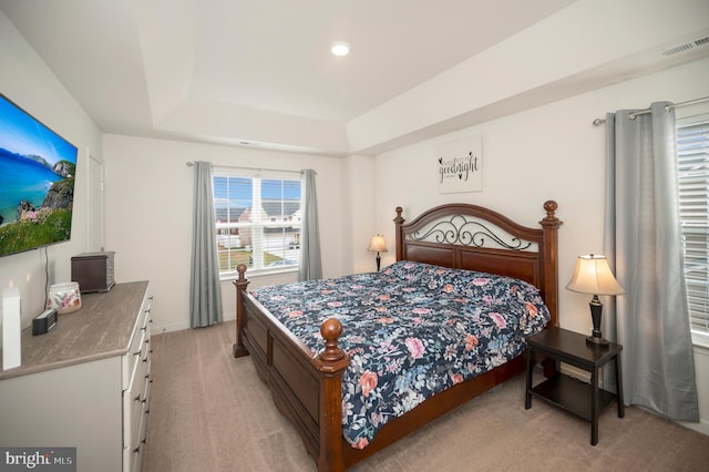 carpeted bedroom featuring a raised ceiling