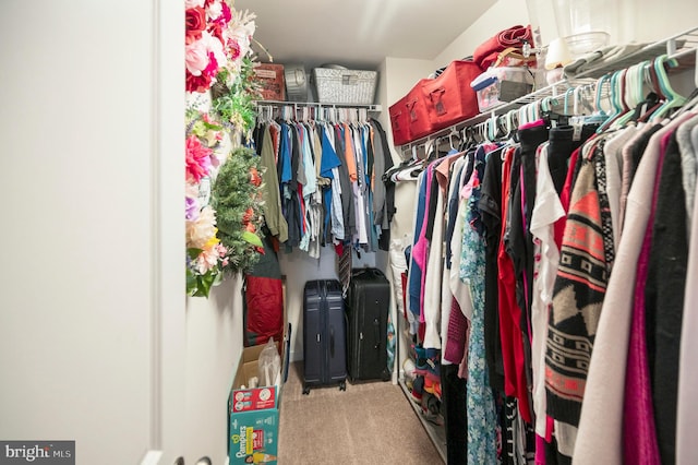 spacious closet featuring light carpet