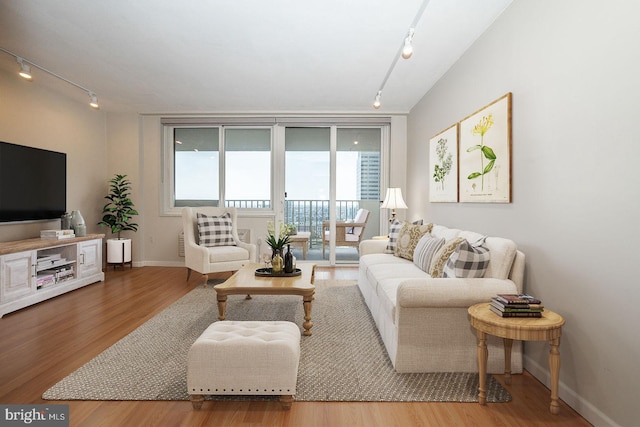 living room with hardwood / wood-style floors and rail lighting