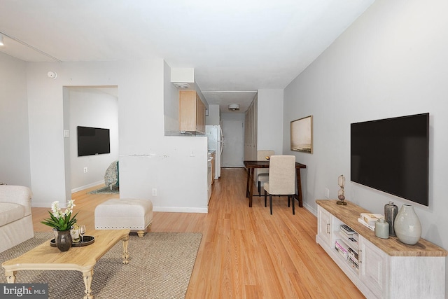 living room featuring light wood-type flooring