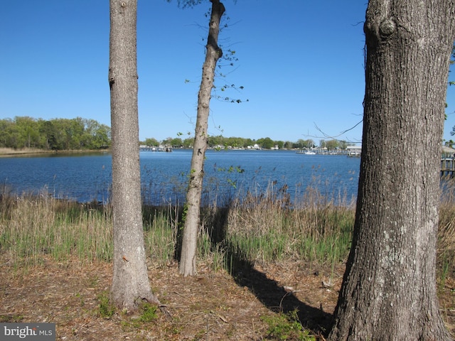 1240 Shore Dr, Colonial Beach, VA 22443 - water view