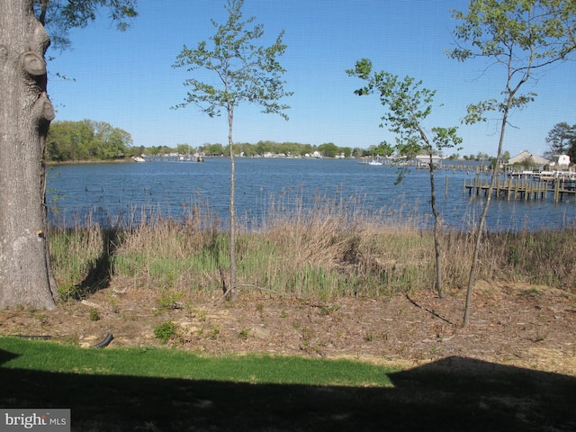 1240 Shore Dr, Colonial Beach, VA 22443 - water view