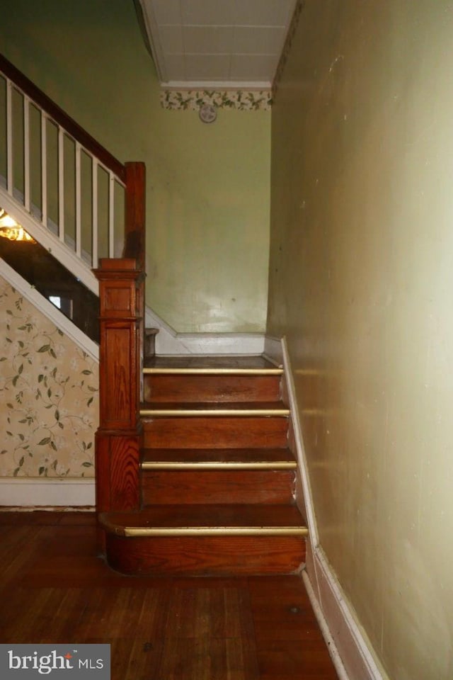 stairs with hardwood / wood-style flooring