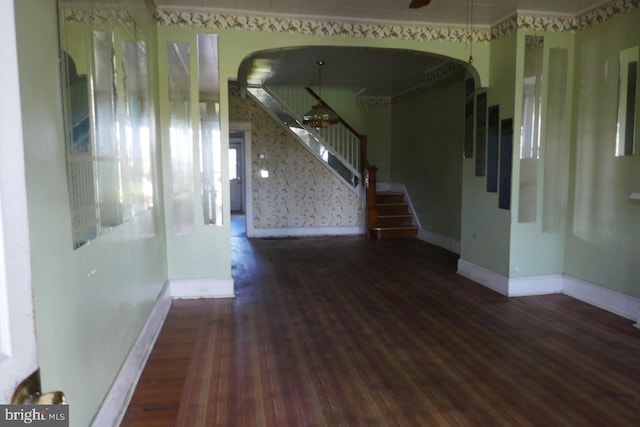 interior space featuring dark hardwood / wood-style flooring