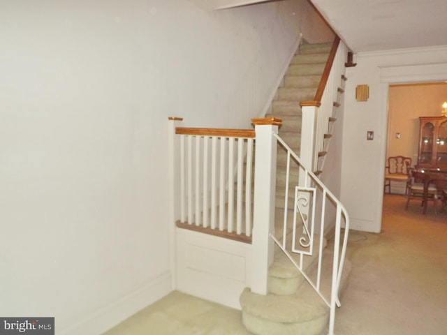 staircase featuring carpet and crown molding