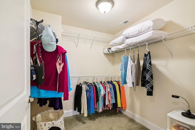 spacious closet featuring carpet floors