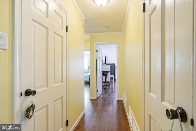 hallway with crown molding and dark hardwood / wood-style flooring