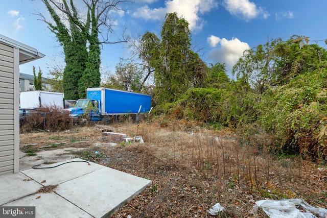 view of yard with a patio area