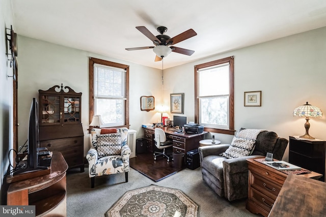 office space featuring ceiling fan, plenty of natural light, and wood-type flooring