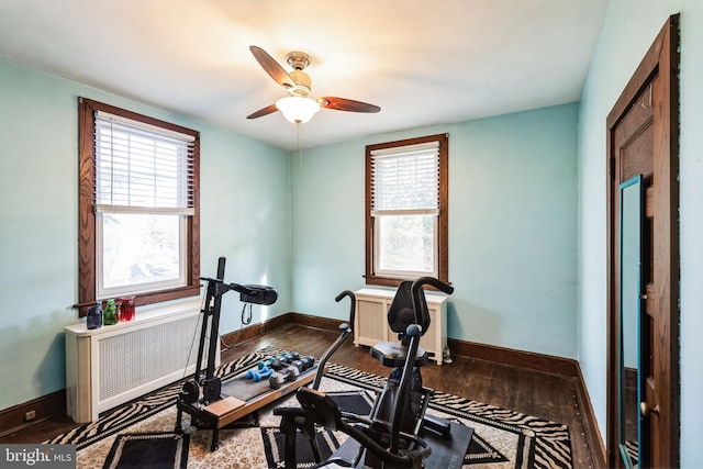 exercise area with ceiling fan, plenty of natural light, and hardwood / wood-style floors