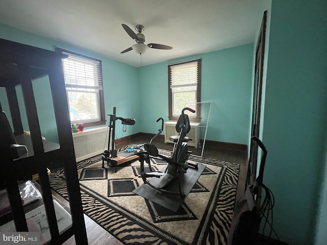 exercise room featuring ceiling fan, plenty of natural light, and hardwood / wood-style floors