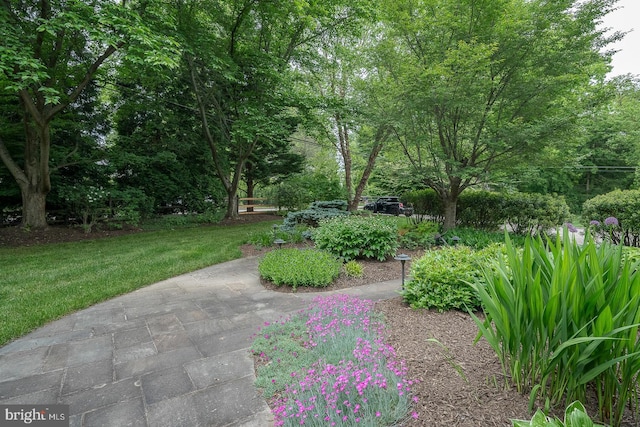 view of community featuring a lawn