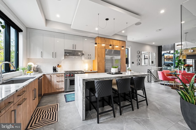 kitchen featuring high end appliances, modern cabinets, light stone counters, under cabinet range hood, and a sink