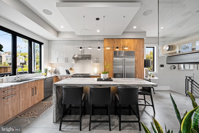 kitchen with appliances with stainless steel finishes, a breakfast bar area, modern cabinets, and under cabinet range hood