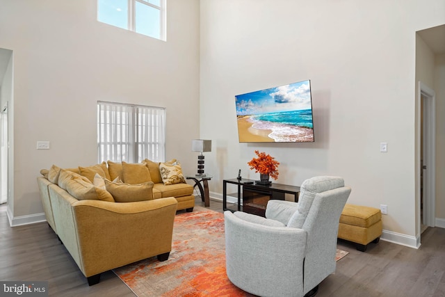 living room with a high ceiling and dark hardwood / wood-style floors