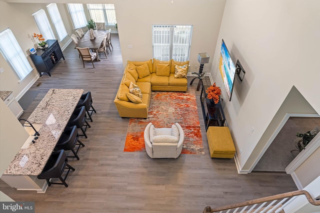 living room featuring a towering ceiling and dark hardwood / wood-style floors