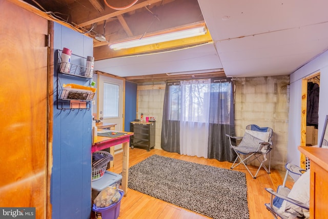 interior space with light hardwood / wood-style floors and a closet