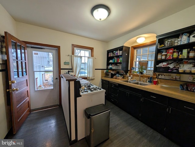 kitchen featuring dark cabinetry, dark wood finished floors, open shelves, a sink, and cooktop