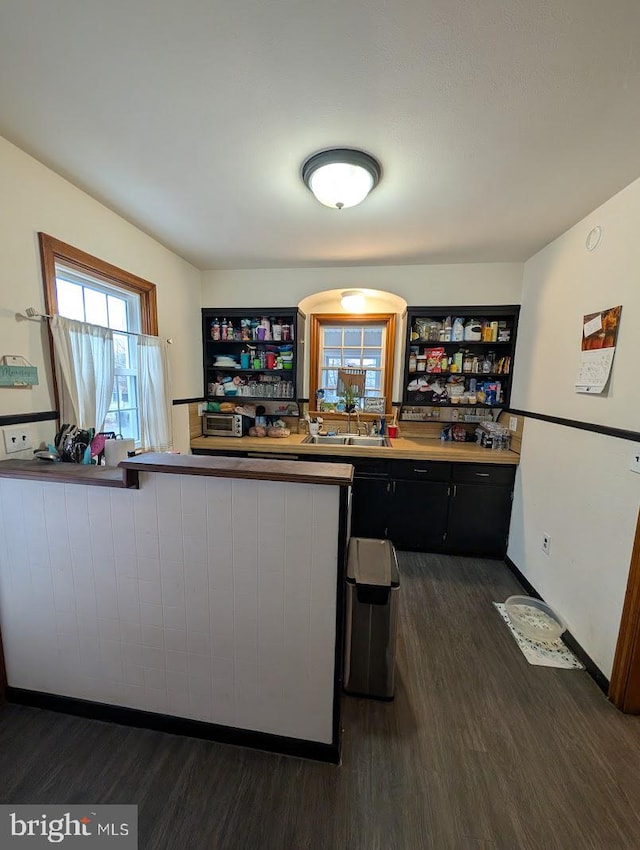 kitchen featuring dark cabinets, a healthy amount of sunlight, dark wood-style floors, and a sink