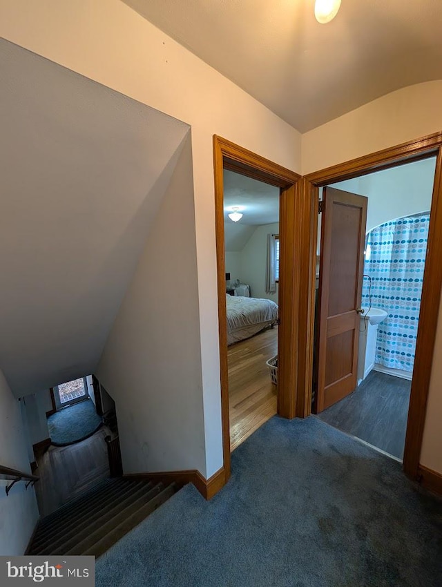 hallway featuring lofted ceiling, carpet, and baseboards