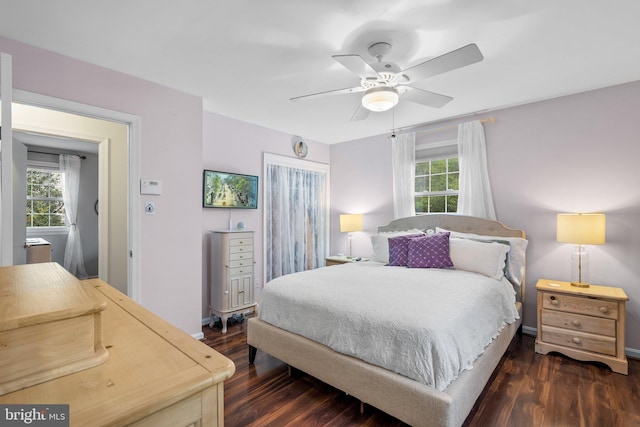 bedroom featuring multiple windows, ceiling fan, and dark wood-type flooring