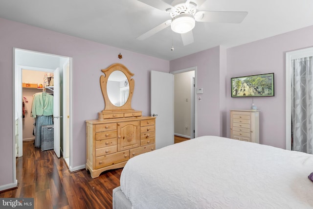 bedroom with ceiling fan, dark hardwood / wood-style flooring, a spacious closet, and a closet