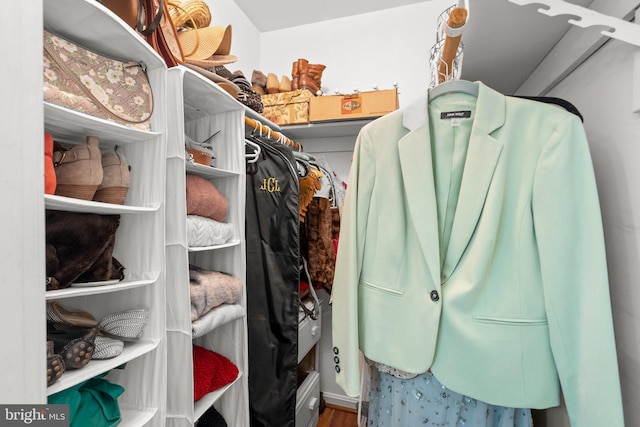 walk in closet featuring wood-type flooring