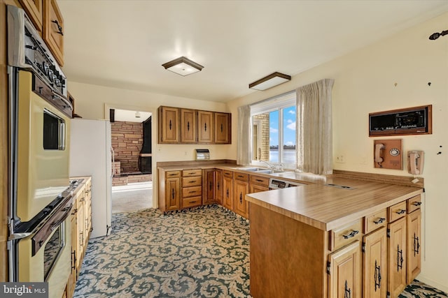 kitchen with kitchen peninsula, appliances with stainless steel finishes, light colored carpet, and sink