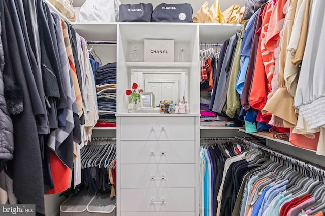 view of walk in closet