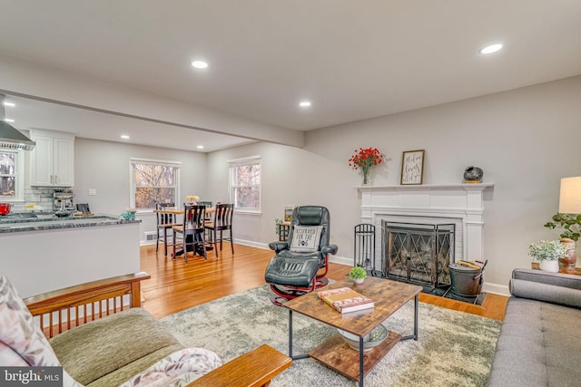 living room featuring light hardwood / wood-style flooring