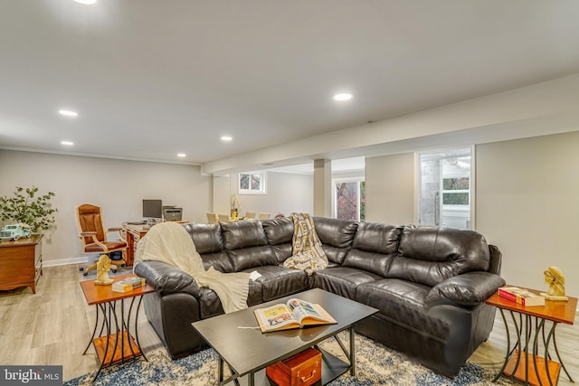 living room with light hardwood / wood-style flooring and a healthy amount of sunlight