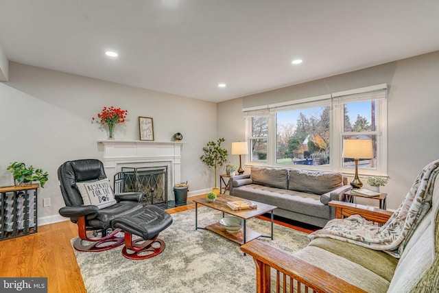 living room with light wood-type flooring