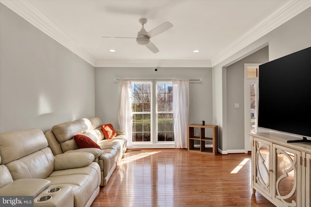 living room featuring ceiling fan, light wood-type flooring, and ornamental molding