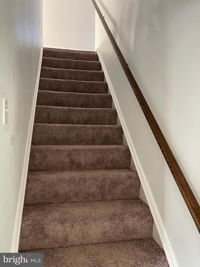 stairs featuring carpet