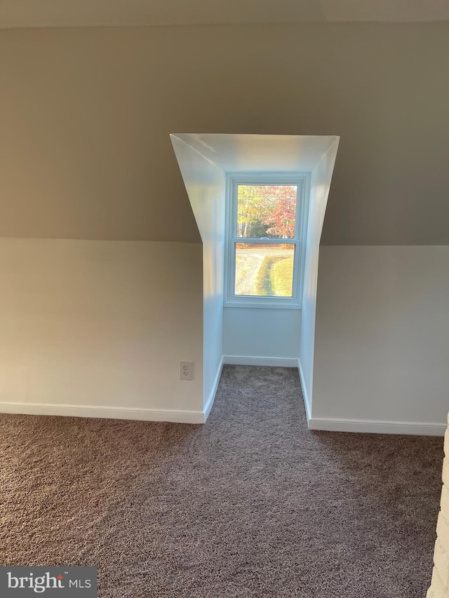 bonus room with lofted ceiling and carpet floors