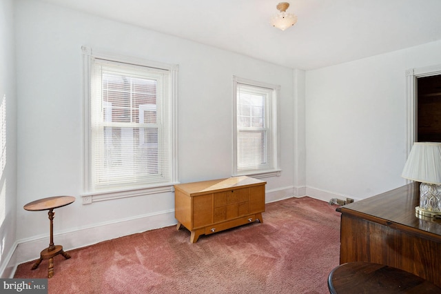 view of carpeted home office