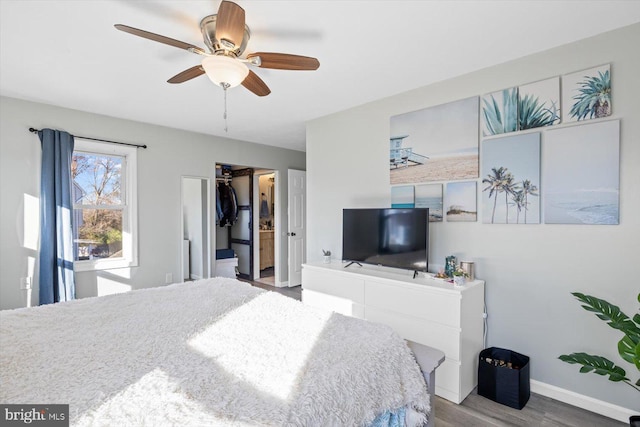 bedroom featuring hardwood / wood-style floors, ceiling fan, a walk in closet, and a closet