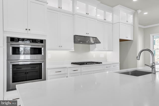 714 Walkers Mill Ln, Wilmington, DE 19807 - kitchen with a sink, under cabinet range hood, appliances with stainless steel finishes, ornamental molding, and white cabinets