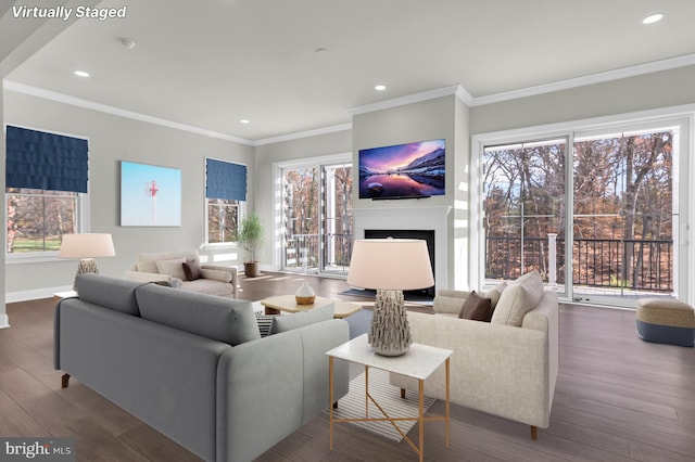 living area featuring dark wood-style flooring, a fireplace, and a wealth of natural light