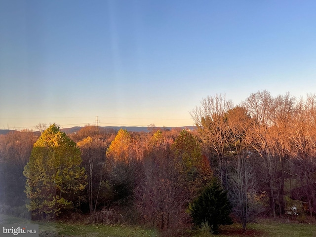 view of nature at dusk