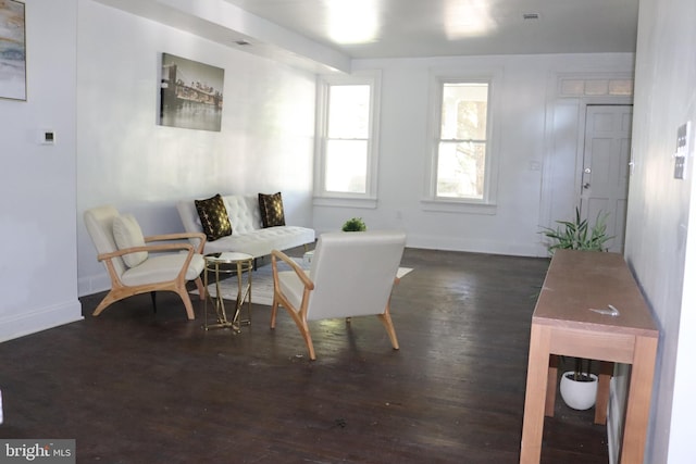 living area with dark hardwood / wood-style flooring