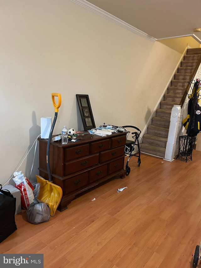 interior space with light hardwood / wood-style flooring and ornamental molding